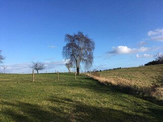 Casa per le vacanze Knebel  28