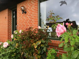 Casa de vacaciones Ærøskøbing  28