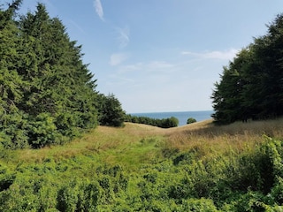 Ferienhaus Ærøskøbing  28