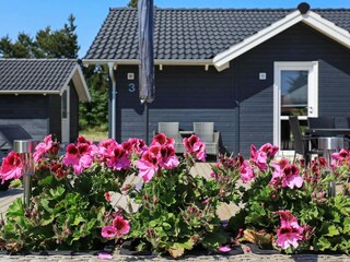 Holiday house Blåvand  36