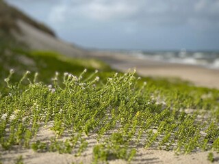 Casa per le vacanze Bunken  26