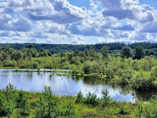 Holiday house Silkeborg  34