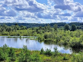 Casa per le vacanze Silkeborg  34