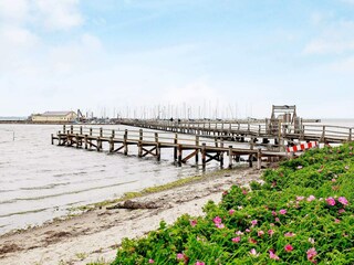 Vakantiehuis Wackerballig  16