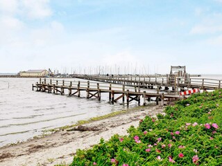 Casa per le vacanze Wackerballig  18