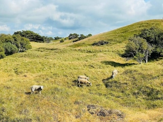 Maison de vacances Vejby Strand Enregistrement extérieur 2