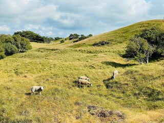 Vakantiehuis Vejby Strand Buitenaudio-opname 2