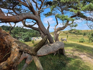 Maison de vacances Vejby Strand Enregistrement extérieur 1