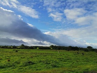 Ferienhaus Købingsmark  39