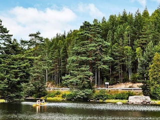 Ferienhaus Älgåna  5