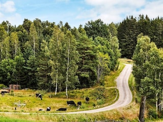 Ferienhaus Älgåna  18