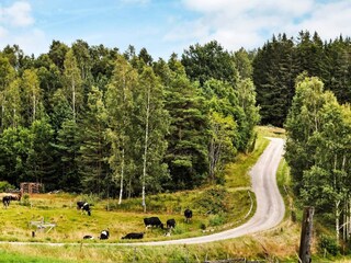 Vakantiehuis Älgåna  22
