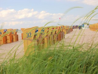 Casa per le vacanze Rerik Ambiente 21