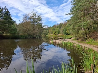 Ferienhaus Jegum  31