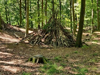 Ferienhaus Jegum  17