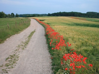 Apartamento Klütz Entorno 13