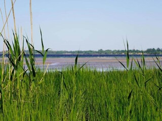 Appartamento Klütz Ambiente 36