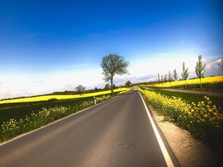 Apartment Klütz Umgebung 21