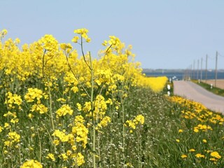 Appartement Klütz Environnement 36