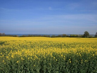 Apartment Klütz Environment 14