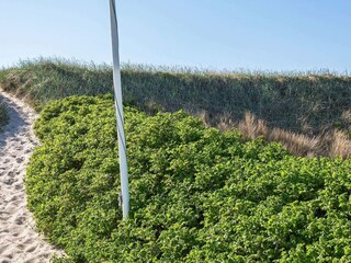 Holiday house Harboøre  25