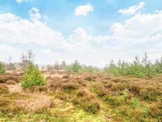 Vakantiehuis Lakolk  31