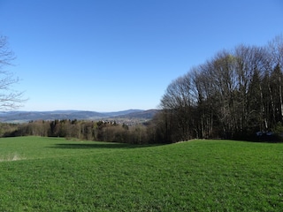 Blick auf den Luftkurort Waldmünchen