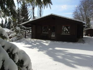 Ferienhaus Bayerwald - Waldmünchen - image1