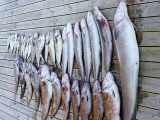 Vakantiehuis Urangsvåg  45