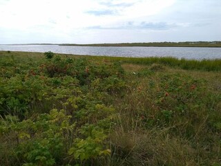 Casa de vacaciones Læsø  17