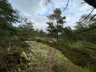 Ferienhaus Læsø  24