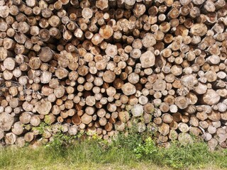 Holiday house Læsø  12