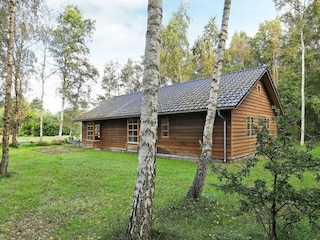 Ferienhaus Læsø  8