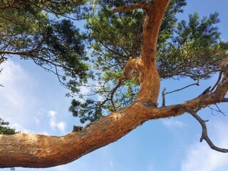 Casa de vacaciones Udsholt Strand  28