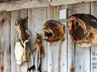 Casa de vacaciones Tustna  24