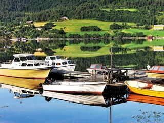 Vakantiehuis Tustna  40