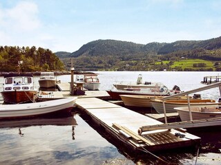 Vakantiehuis Tustna  43