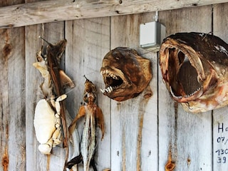 Maison de vacances Tustna  41