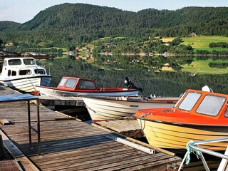 Casa per le vacanze Tustna  32