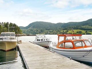 Casa per le vacanze Tustna  31