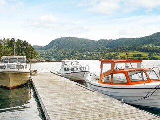 Casa per le vacanze Tustna  33