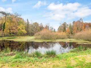 Vakantiehuis Jegum  9