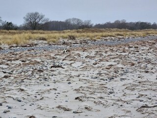 Ferienhaus Ulvshale  36