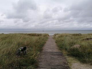 Ferienhaus Ulvshale  37