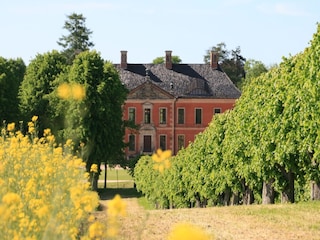 Apartment Klütz Umgebung 32