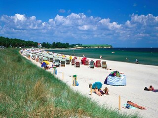 Apartment Klütz Environment 37