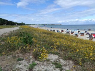 Appartement Klütz Omgeving 23