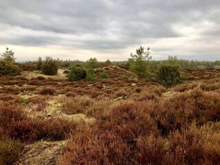 Holiday house Ansager  27