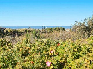 Holiday house Hirtshals  7