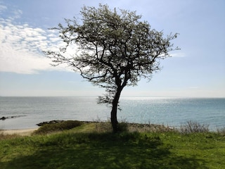 Ferienhaus Juelsminde  27